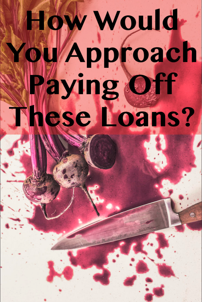 How Would You Approach Paying Off These Loans?
